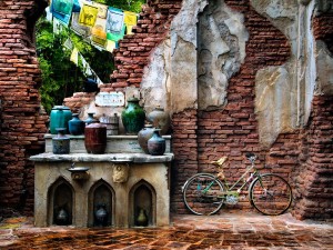 Disney World's Animal Kingdom, safe water for travelers